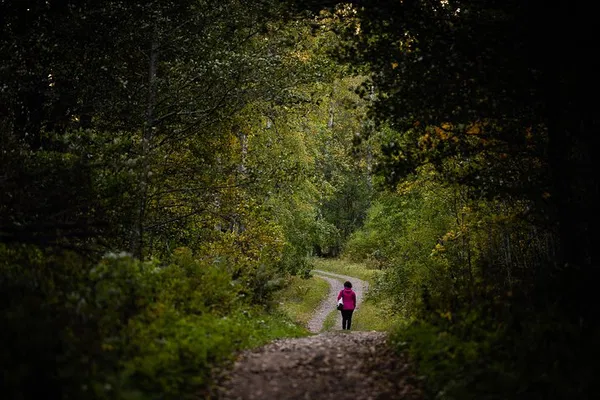 Redrib Helsinki Experience 2: Thrilling Archipelago Adventure