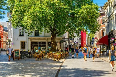 Discover Breda's Royal Secrets: An Exclusive Historical Walking Tour