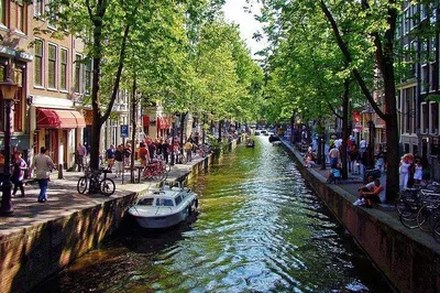 Discover Dutch Charm: Private Amsterdam & Traditional Holland Tour from Brussels