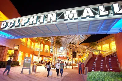 Miami Adventure: City Tour, Bay Cruise & Dolphin Mall Shopping Spree