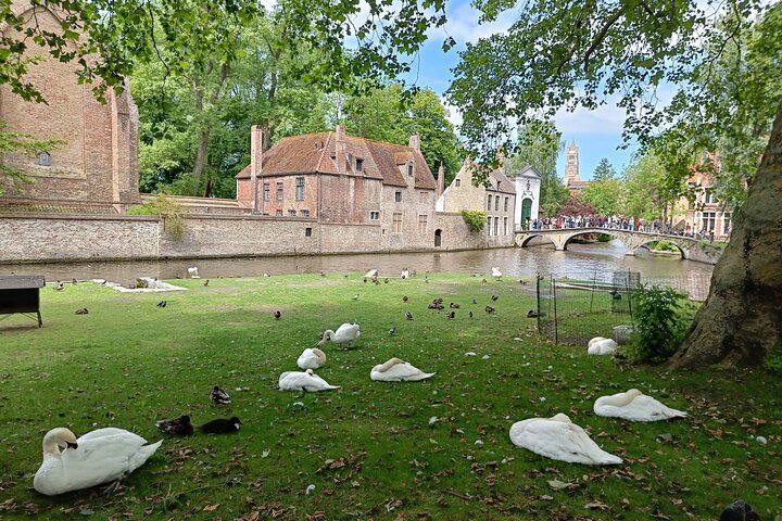 Experience Image img4