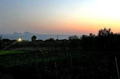 Vesuvius Private Dinner: Wine, Views & Hotel Pickup!
