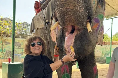 Event Image Unforgettable 5-Day Delhi, Agra, Jaipur & Ranthambore Safari Tour