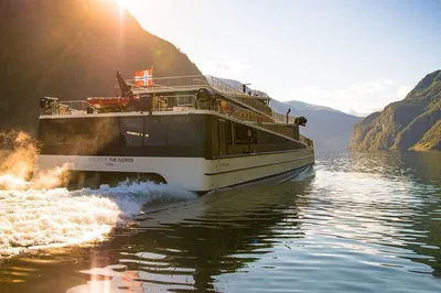 Fjord & Railway Adventure: Premium Private Tour from Bergen