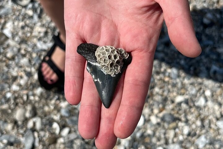 Experience Image img3