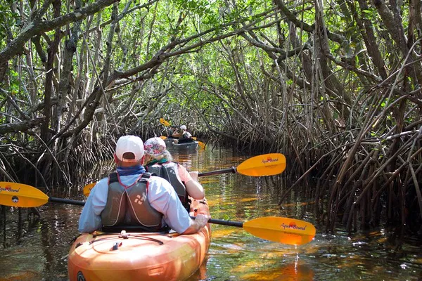 Everglades Kayak Adventure: Manatees, Mangroves & Wildlife Encounters!