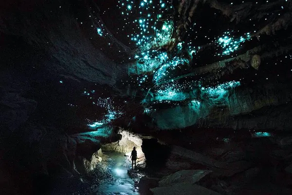 Waitomo Glowworm Cave Tour: Eco Adventure Off-the-Beaten-Path