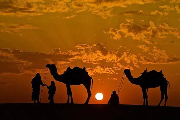 Pushkar's Enchanting Overnight Camel Safari: Desert Camping Adventure