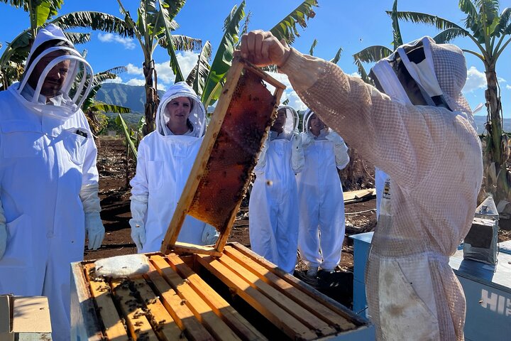 Experience Image img4