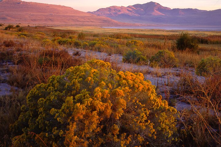 Experience Image img4