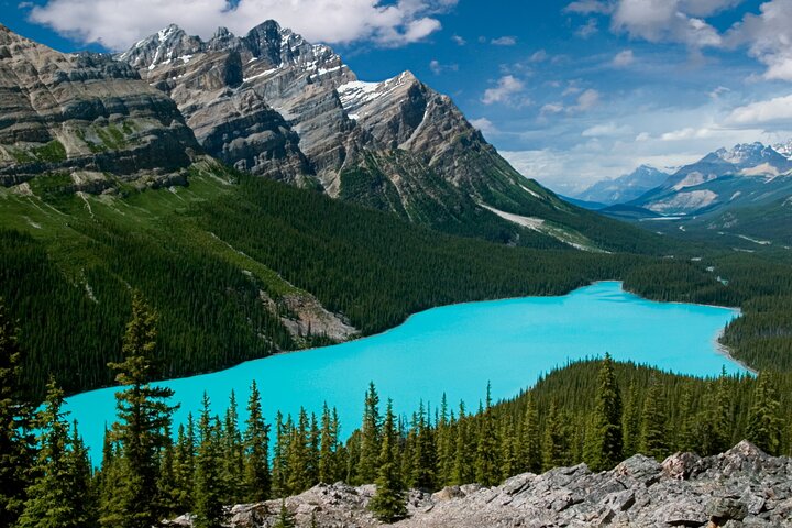 Experience Image img1