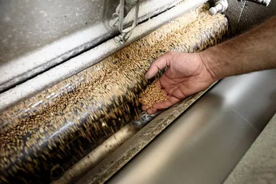 Unveiling Sicilian Heritage: A Mill Tour with Tastes of Tradition