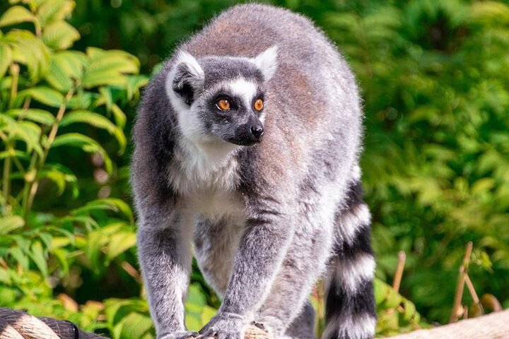 Experience Image img3