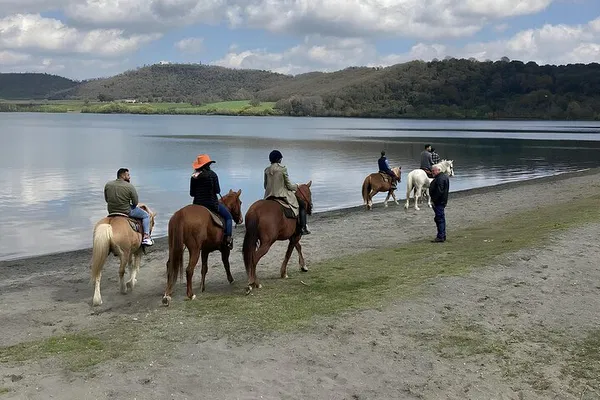 Rome: Lake Martignano Horseback Ride with Expert Guide