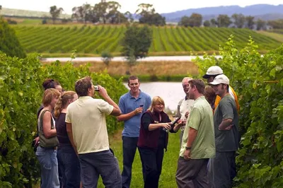 Tuscan Trio: Ride, Sip & Savor Florence's Finest!