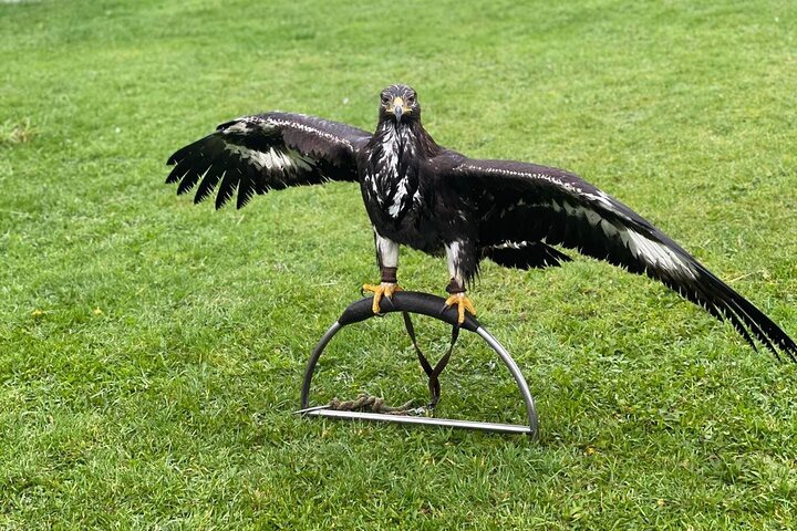 Experience Image img4