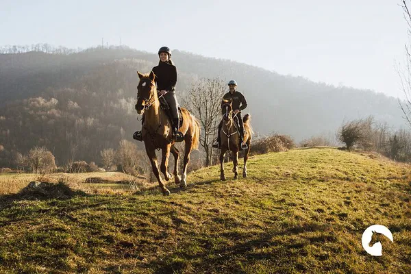 Lake Como Expert Horseback Adventure: Arabian Endurance Trek