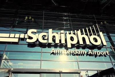 Luxury Arrival: Schiphol to Rotterdam Port with VIP Chauffeur