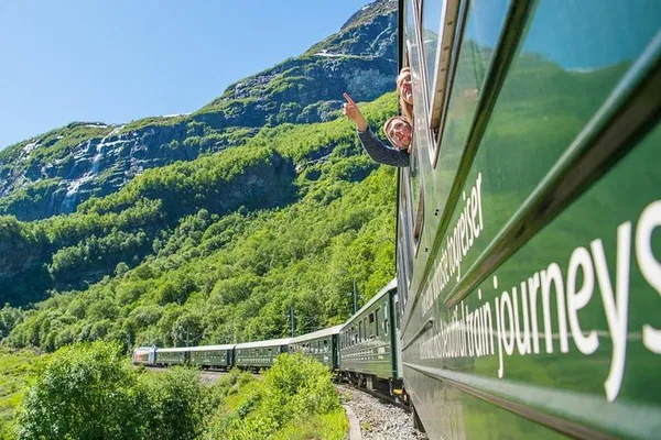 Norway Private Tour: Viking Village, Fjord Cruise & Railway