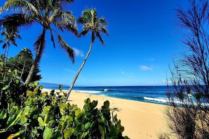 Experience Image img2