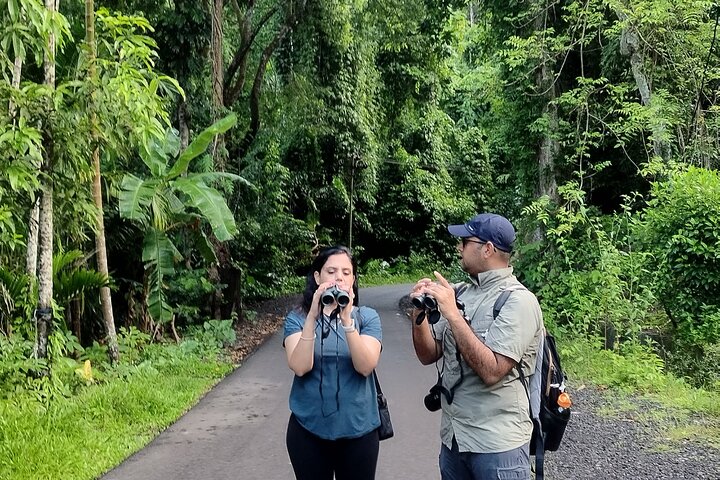 Experience Image img2