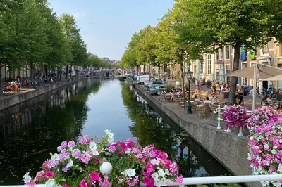 Discover Leiden: A Charming Historical Escape from Amsterdam
