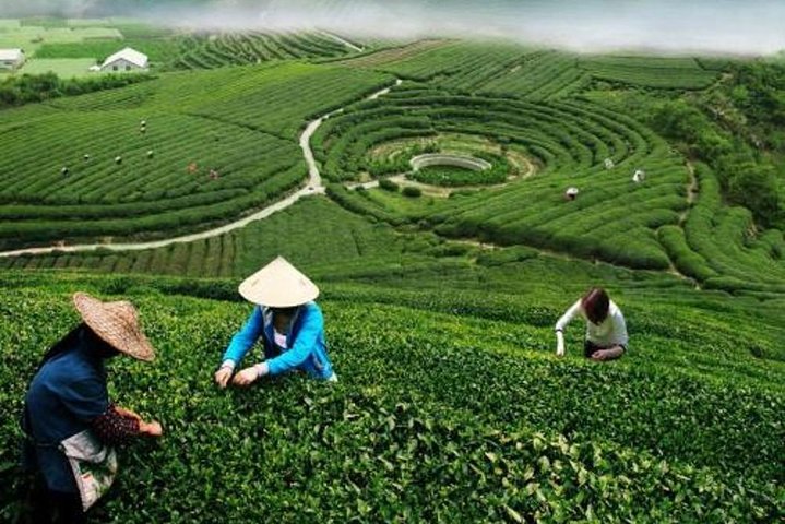 Experience Image img4