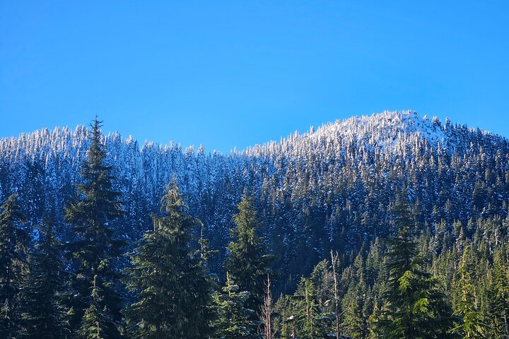 Experience Image img4