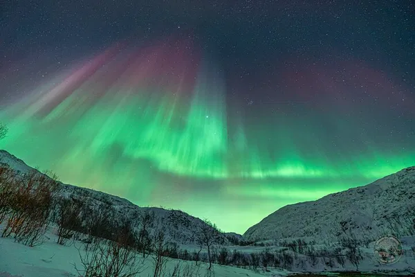 Tromsø Northern Lights Photography Tour: Chase the Aurora!