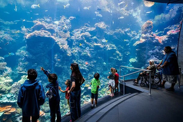Discover Science Wonders: Skip the Line at California Academy of Sciences