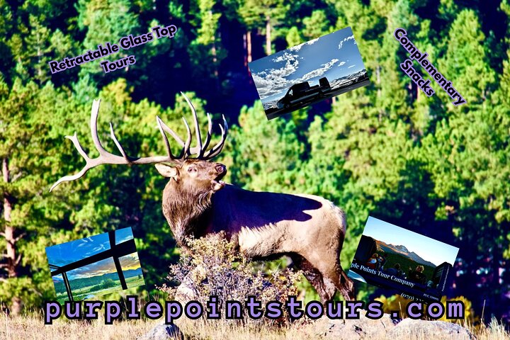 Experience Image img2