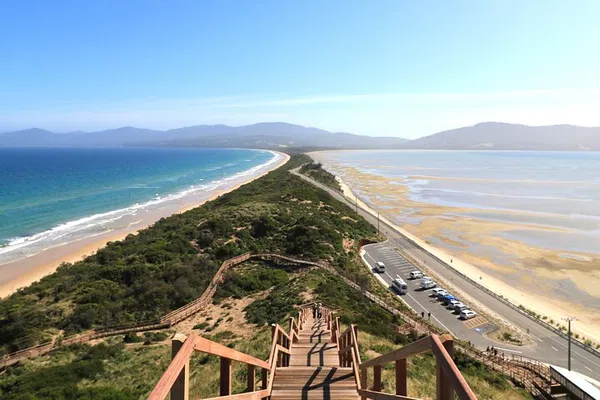 Bruny Island Eco Tour: Wildlife, Food & Views!