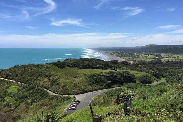 Auckland: Muriwai Wine Tour & Gannet Colony Views