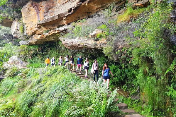 Blue Mountains Tour: Waterfall Walk & Aussie Lunch