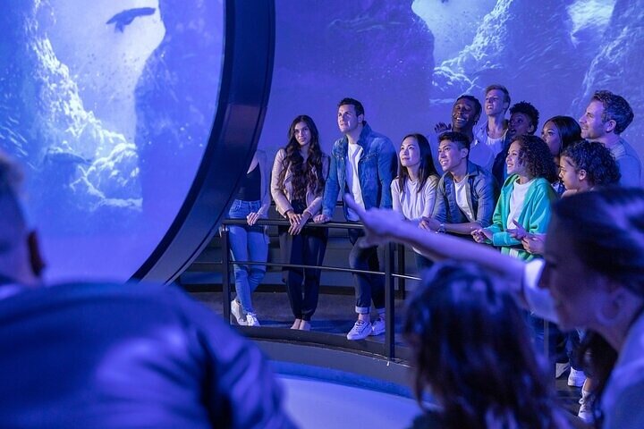 Experience Image img1