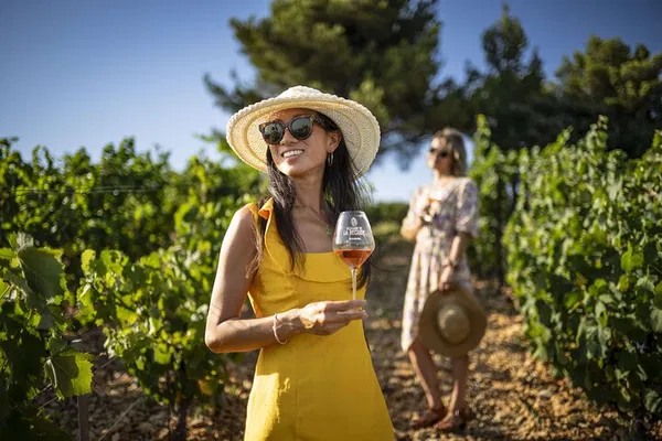 Uncork Provence: A Luxurious Private Wine Tour from Nice