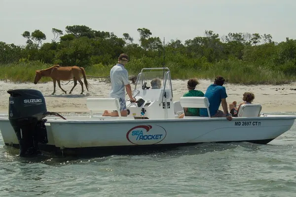 Unforgettable Assateague Island Cruise: Wild Horses & Breathtaking Views!