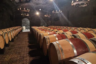 Châteauneuf-du-Pape & Luberon: Wine Tour from Avignon