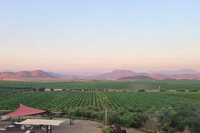 Private Wine Tour: Valle de Guadalupe Escape