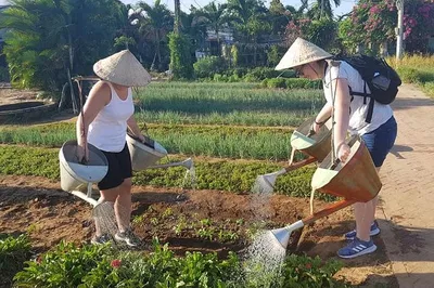 Discover Hoi An's Countryside: An Afternoon of Rural Delights