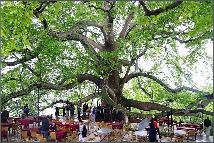 Experience Image img2