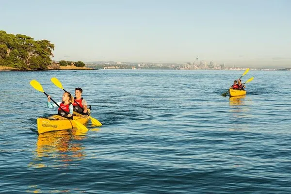 Kayak to Auckland's Volcanic Browns Island: A Guided Journey