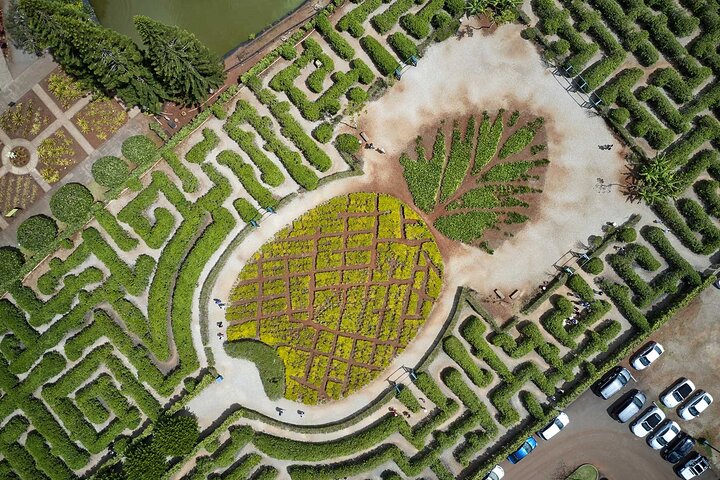 Experience Image img2