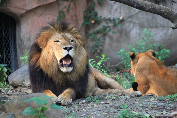 Experience Image img3