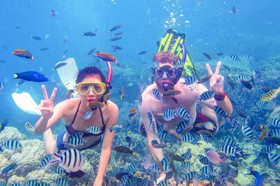 Discover Untouched Beauty: Cham Island Snorkeling & Beach Day Trip