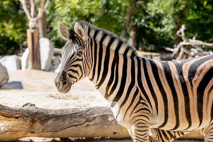 Experience Image img2