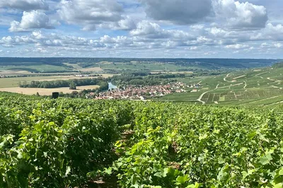Champagne Day Trip: Mercier, Le Gallais & Pressoria - Small Group