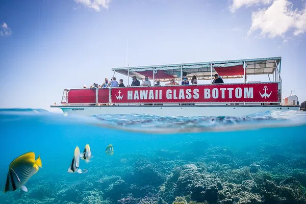 Waikiki Glass Bottom Boat Cruise: See Sea Turtles!