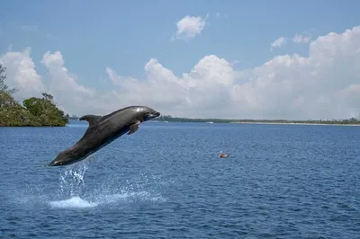 Naples Eco Tour: Private Shelling & Wildlife Adventure