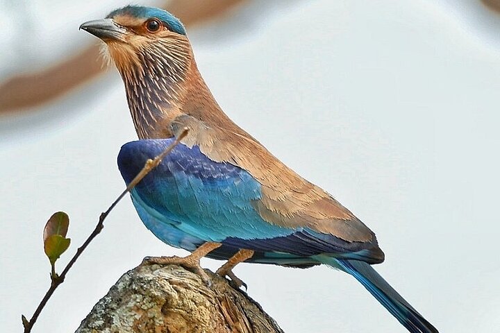 Experience Image img1